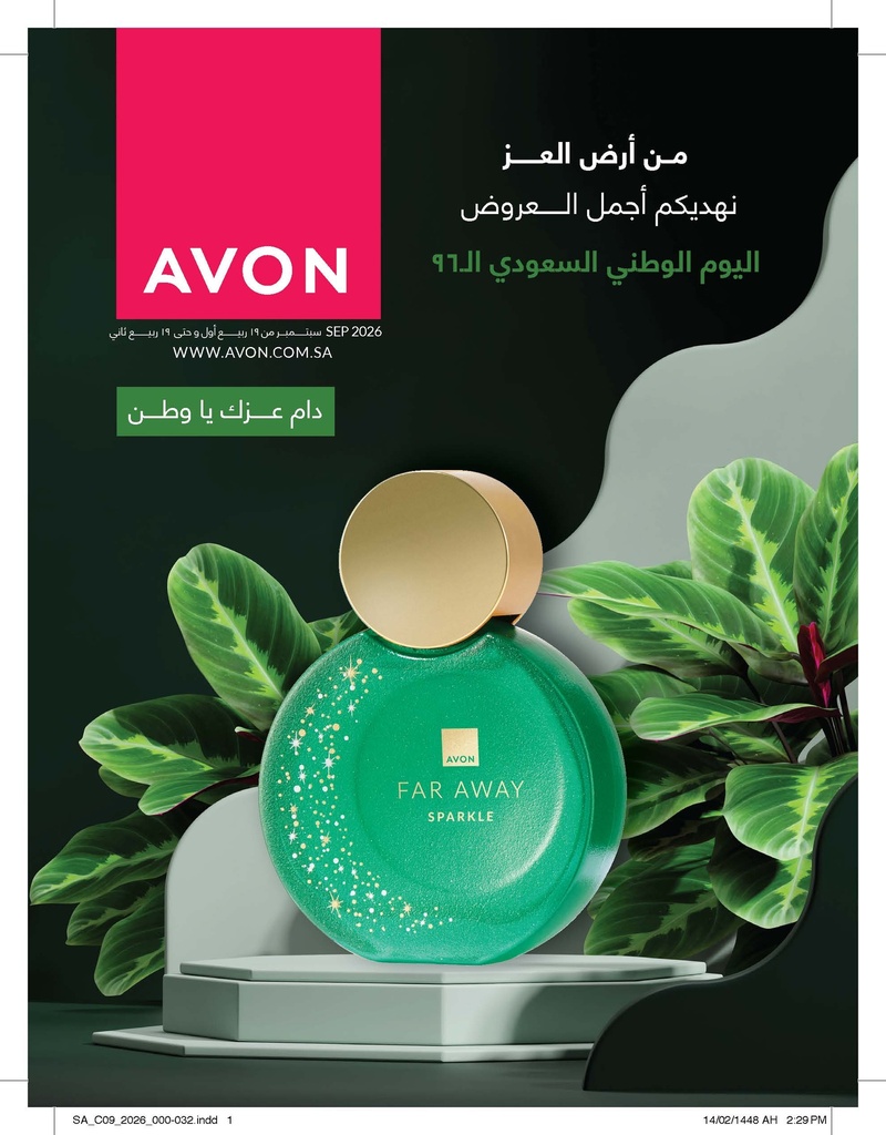 بروشور حملة 9