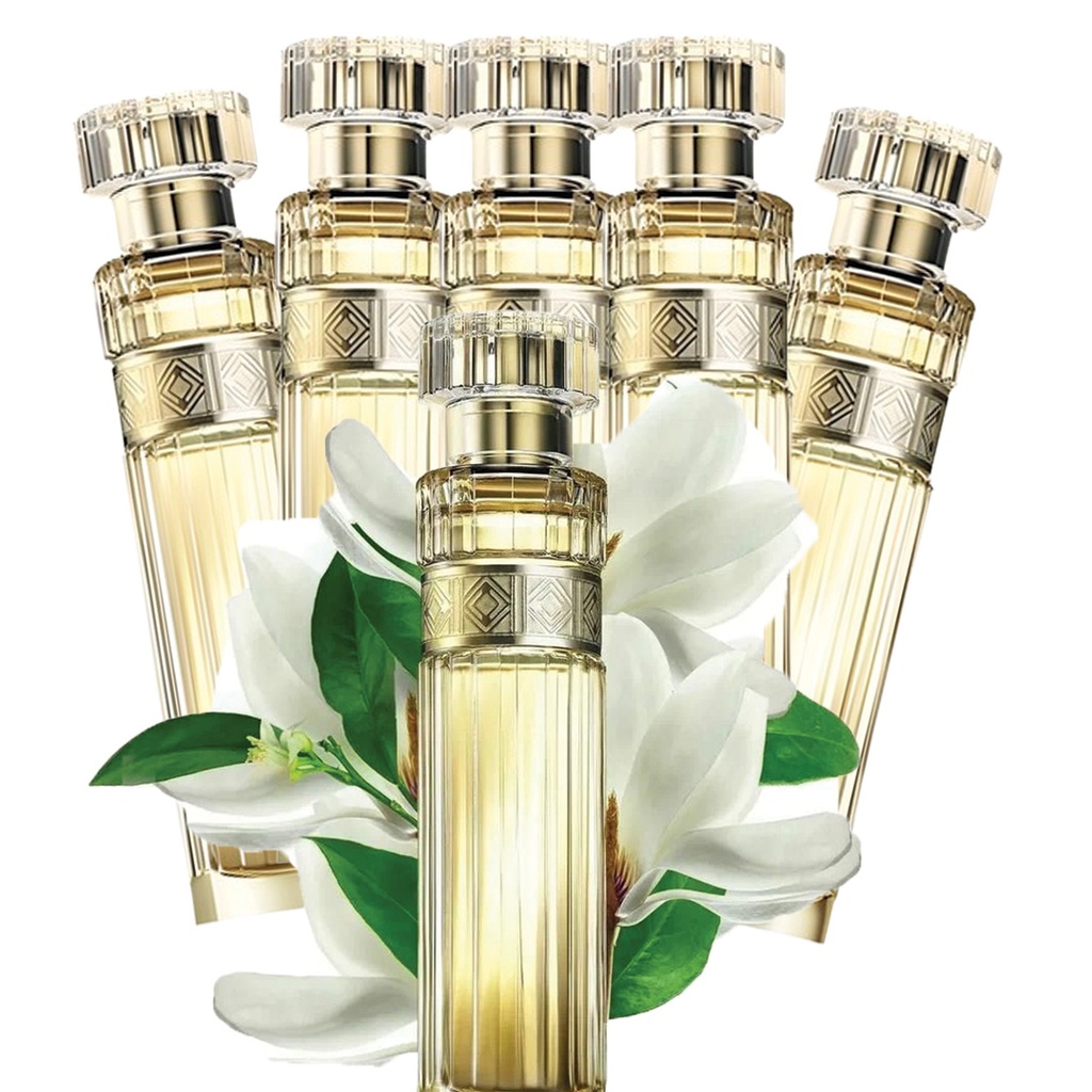 عرض النجمات بريمير لوكس 